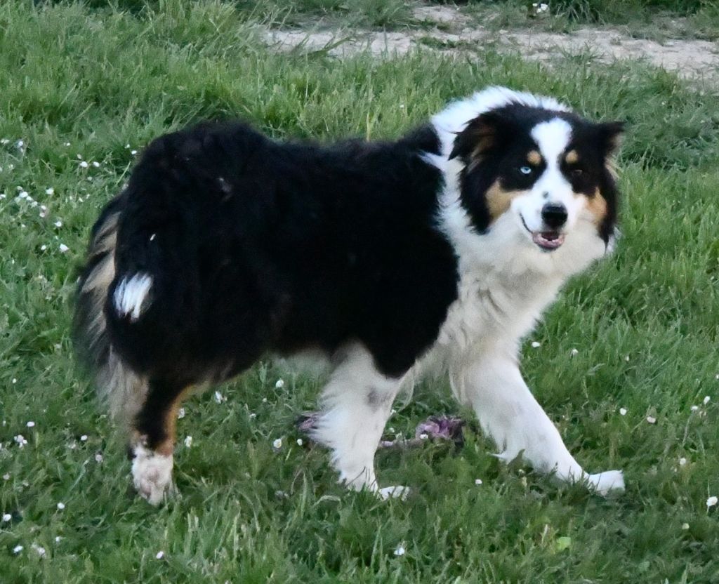 Sweet Des Collines D'Evereven