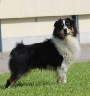 The 7 wonders colosseum of go Fast Storm