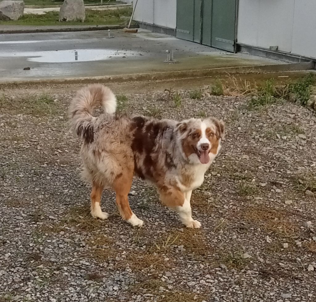 Terra du Feeling de Nolister