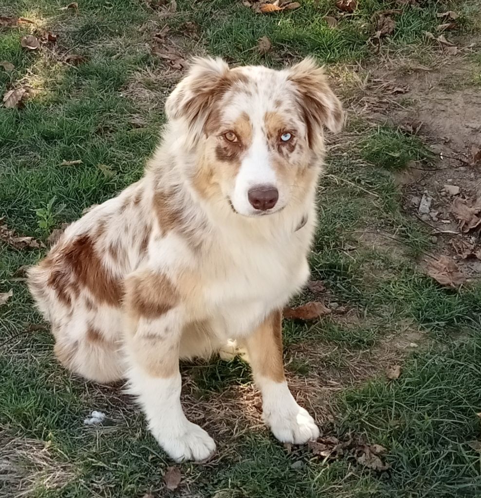 Taya happy farmer danjo