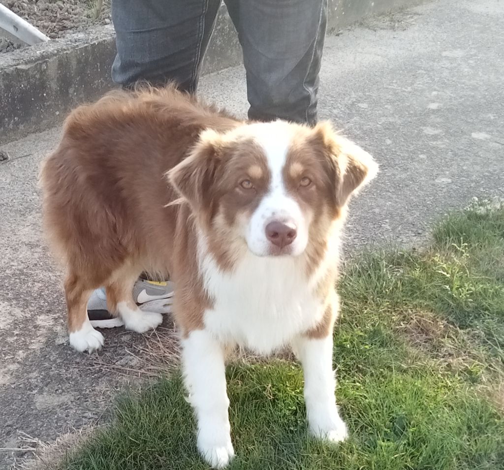 Simmer love du Chemin de la Lune aux Reves